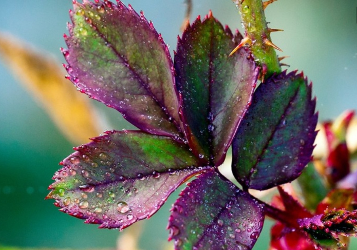 視覺(jué)設(shè)計(jì)